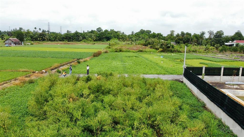 Bán nhà vườn 1000m2, 4,1 tỷ tại kênh nhà vuông, xã bình mỹ, huyện củ chi, tp.hcm