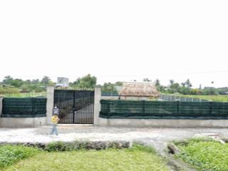 Bán nhà vườn 1000m2, 4,1 tỷ tại kênh nhà vuông, xã bình mỹ, huyện củ chi, tp.hcm