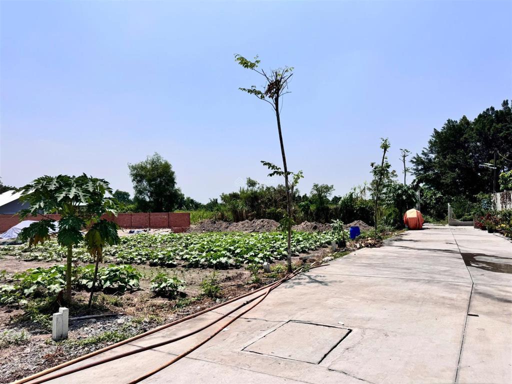 Bán đất đẹp tại trần thị hồ, bình mỹ, củ chi, 1,6 tỷ, 80m2, nhiều tiện ích