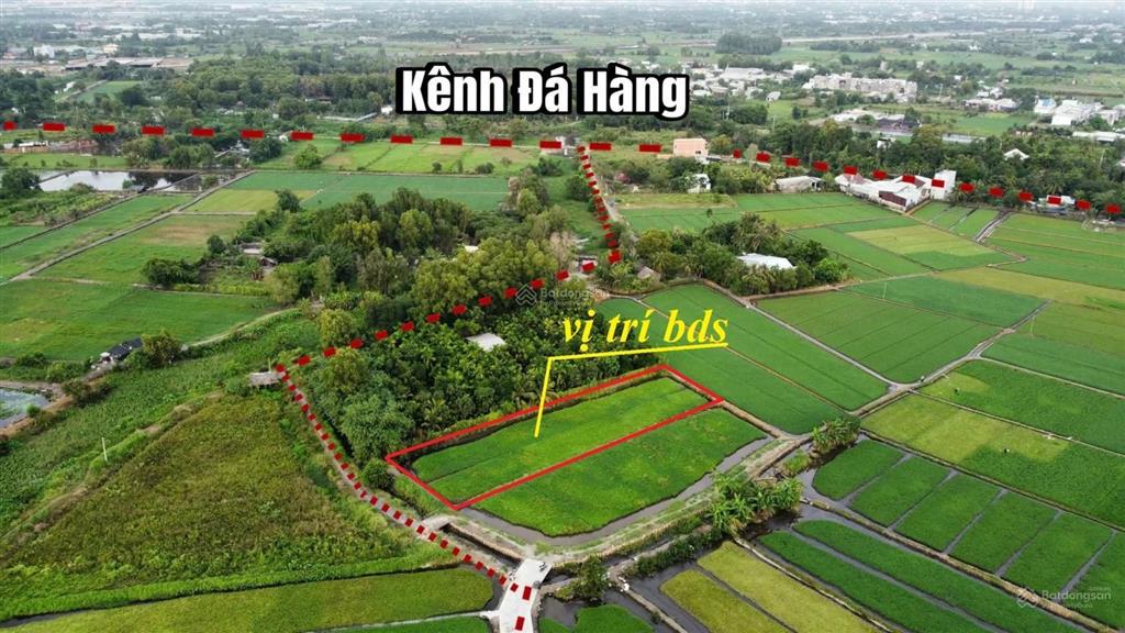 Bán đất tại bình mỹ, củ chi, hcm, giá 7,5 tỷ, diện tích 700m2, nhiều tiện ích đẹp