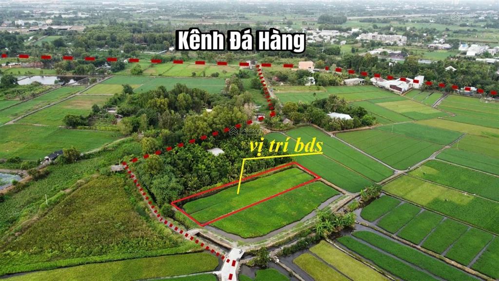 Bán đất tại bình mỹ, củ chi, hcm, giá 7,5 tỷ, diện tích 700m2, nhiều tiện ích đẹp