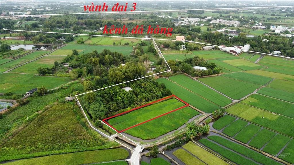Bán đất tại bình mỹ, củ chi, hcm, giá 7,5 tỷ, diện tích 700m2, nhiều tiện ích đẹp