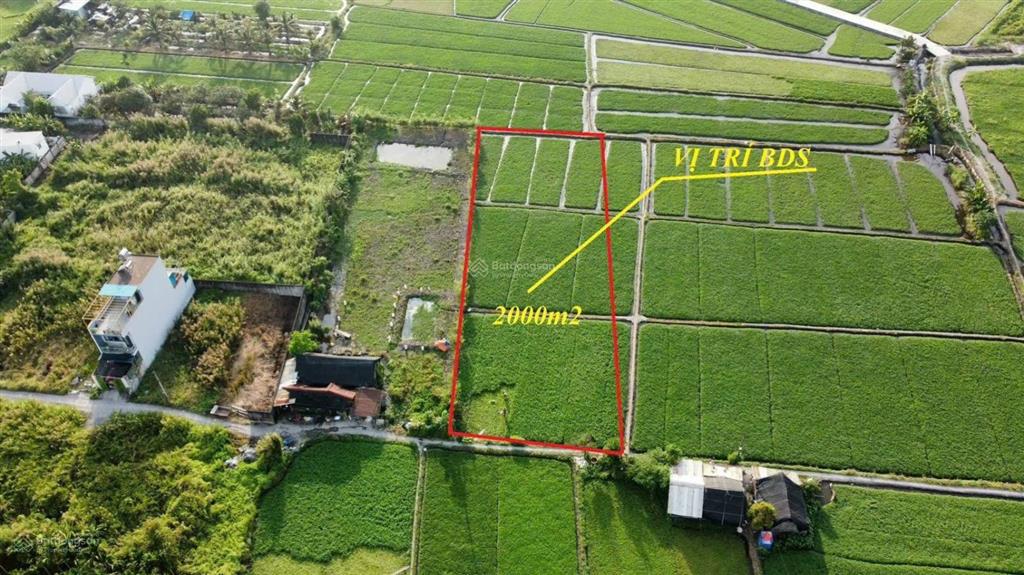 Bán lô đất vườn 2000m2 quy hoạch khu dân cư giá cực rẻ 5 tỷ 6 thương lượng