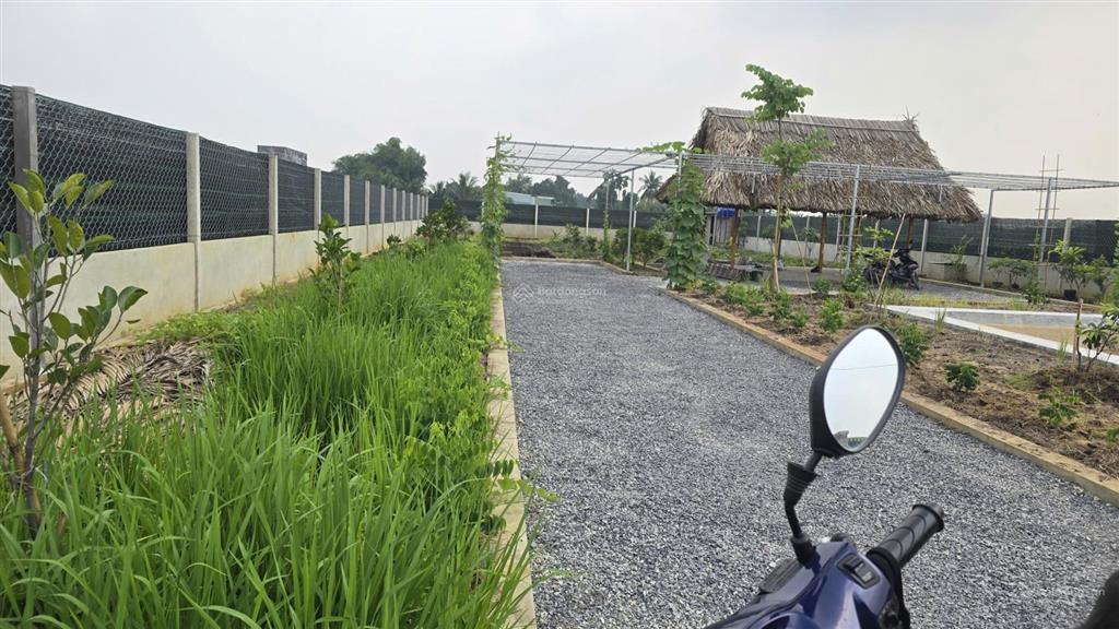 Bán đất vườn đẹp tại nhà vuông, bình mỹ, củ chi, 3,7 tỷ, 1000 m2, nhiều tiện ích xung quanh
