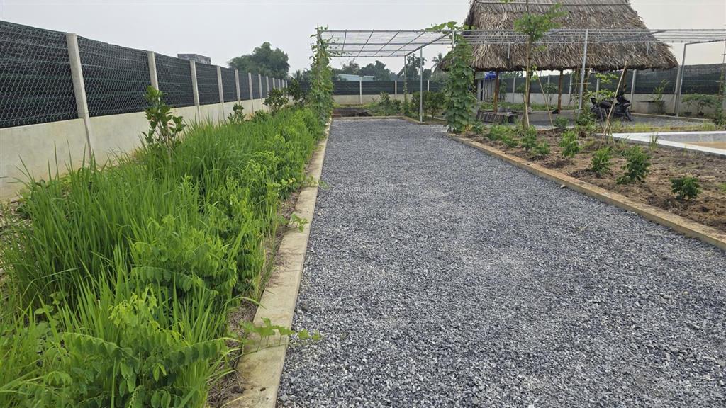 Bán đất vườn đẹp tại nhà vuông, bình mỹ, củ chi, 3,7 tỷ, 1000 m2, nhiều tiện ích xung quanh