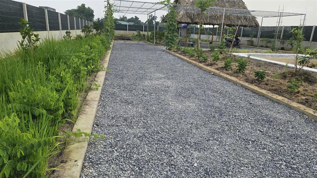 Bán đất vườn đẹp tại nhà vuông, bình mỹ, củ chi, 3,7 tỷ, 1000 m2, nhiều tiện ích xung quanh