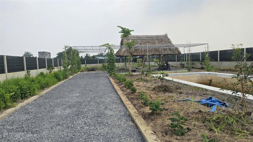 Bán đất vườn đẹp tại nhà vuông, bình mỹ, củ chi, 3,7 tỷ, 1000 m2, nhiều tiện ích xung quanh