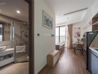 Cho thuê cc mini 1pn, 40m2, 7,5 triệu tại cách mạng tháng tám, q10, tp.hcm  hàng hiếm!