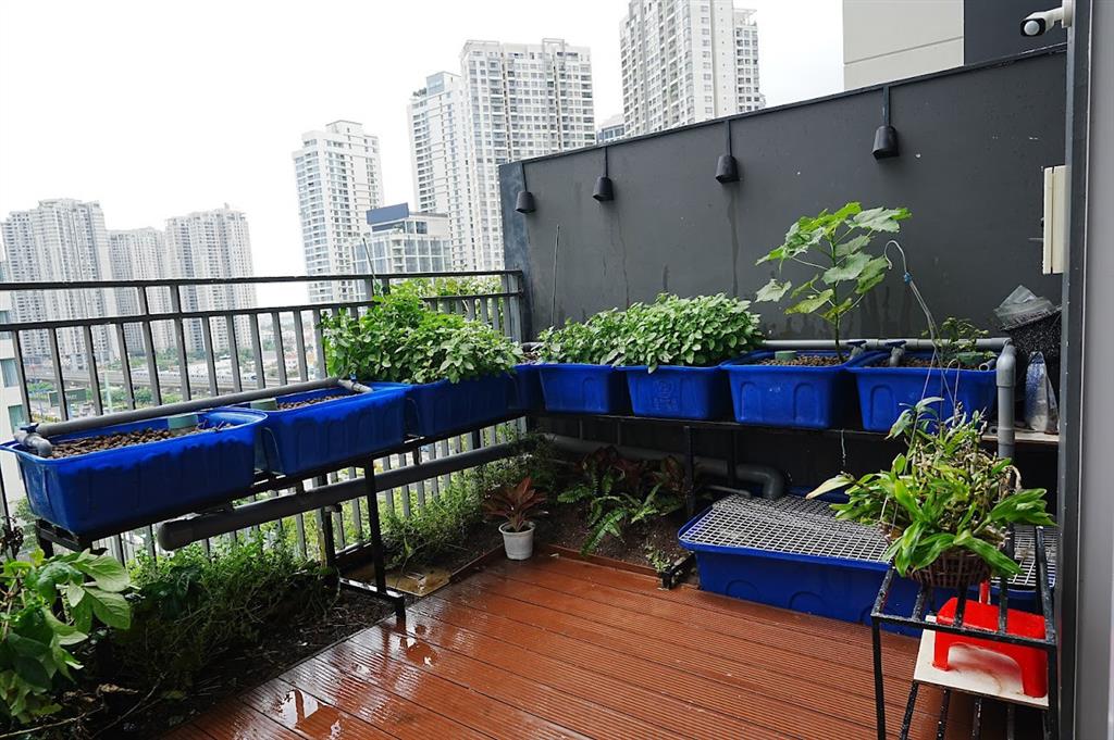 Quảng cáo hình nhà thật || 4 phòng ngủ tầm nhìn thấp trực diện hồ bơi dt 194 m2  giá 32,95 tỷ