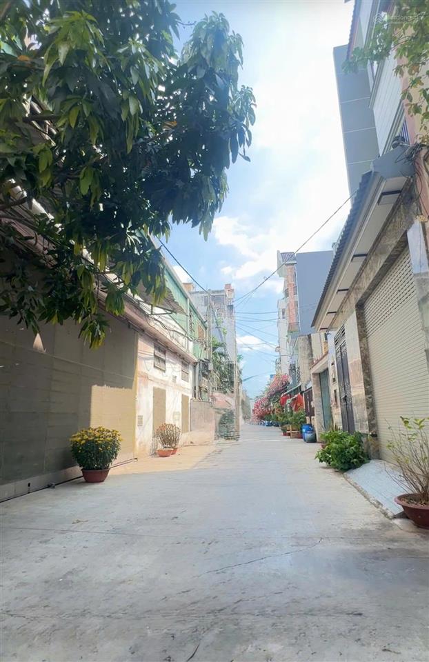 Siêu phẩm 5 tầng lô góc  hoàng xuân hoành, tân phu  oto đến nhà  8,6 tỷ
