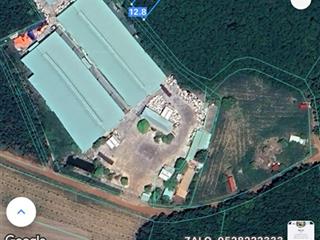 Bán đất chính chủ 987m2 tại an linh phú giáo