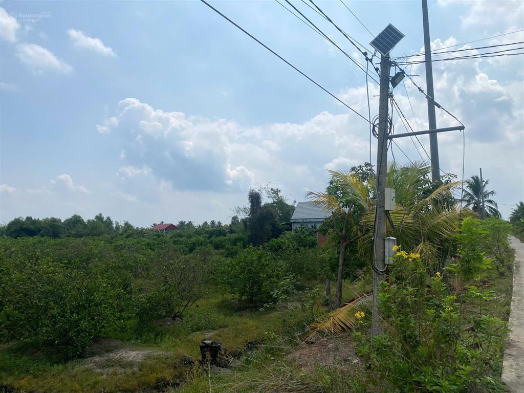 Bán đất vườn tại bình hòa nam, 750 triệu, 5000 m2 giá cực chất chỉ với