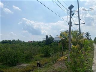 Bán đất vườn tại bình hòa nam, 750 triệu, 5000 m2 giá cực chất chỉ với