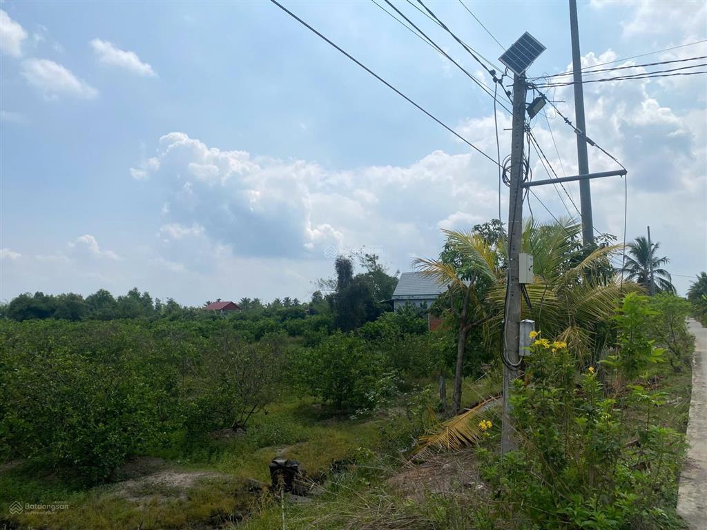 Bán đất nông nghiệp tại xã bình hòa nam, huyện đức huệ, long an, 50 triệu vnd, 100m2