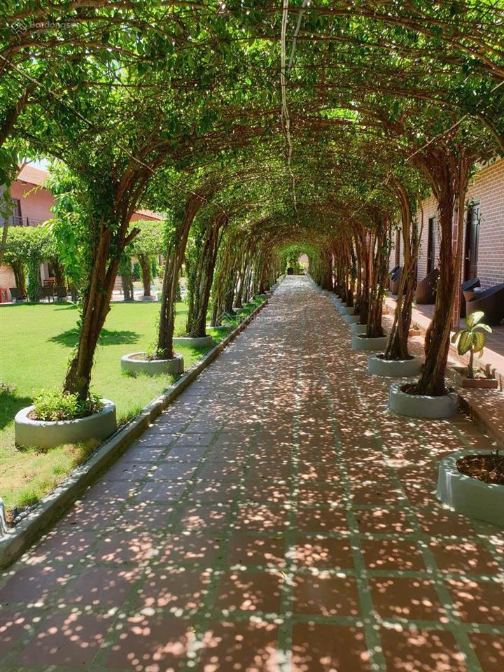 Bán khu nghỉ dưỡng tại phường dương đông, 130 tỷ, 4683 m2, bao đẹp uy tín