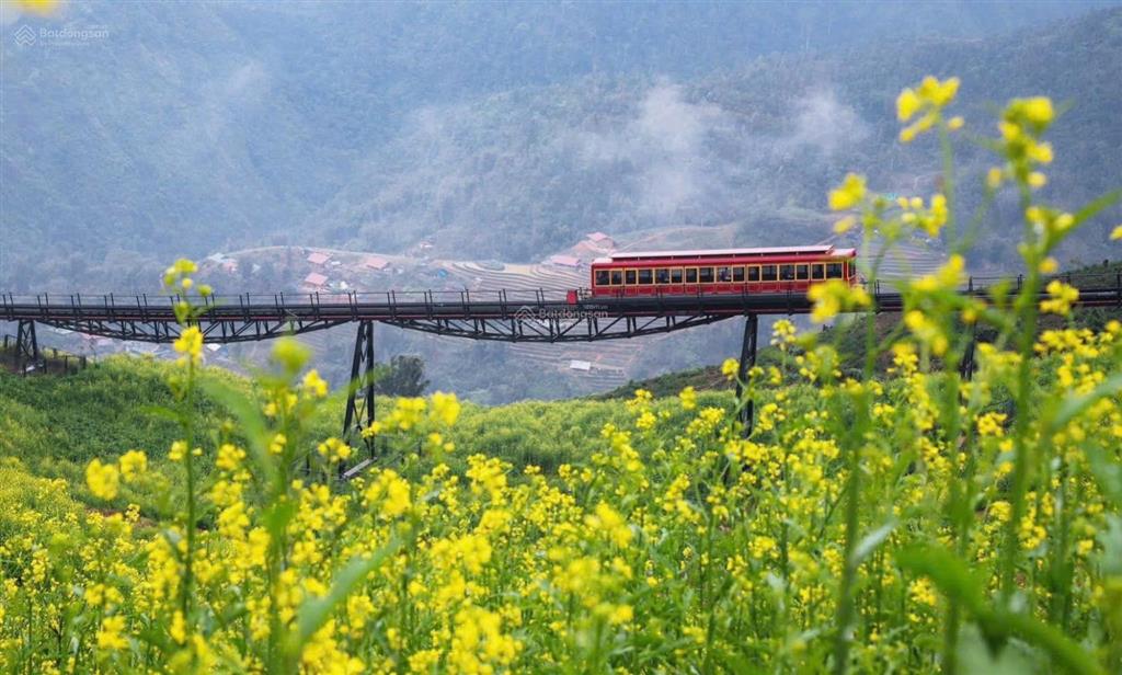 Sapa gần 3.000m2  vị trí vàng 2 mặt tiền  trung tâm sapa. giá bán 70 tỷ