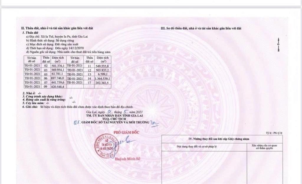 Bán 500ha đất trồng keo gia lai. đất phủ kín cây gỗ, giá 160 tỷ