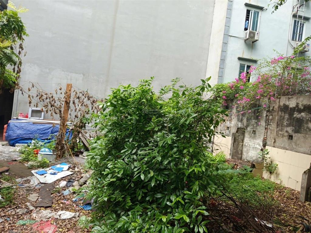 Bán gấp đất 181m2 tại phường trung hòa, cầu giấy, hà nội, 50 tỷ vnd