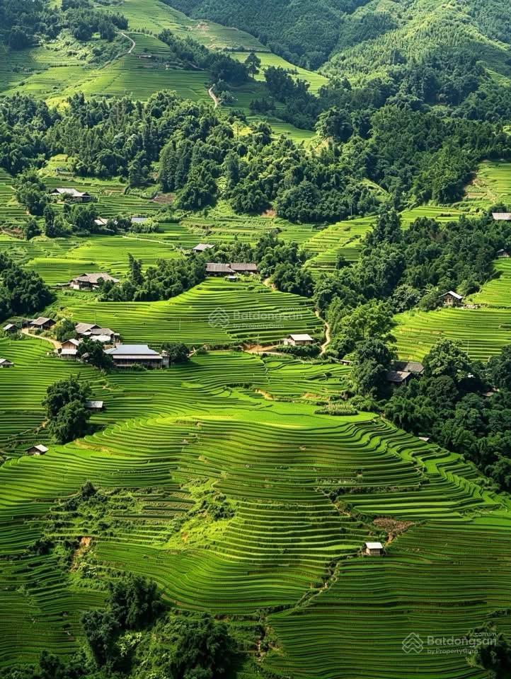 Bán đất tại đường thạch sơn, sa pa, lào cai, giá 75 tỷ, diện tích 748 m2
