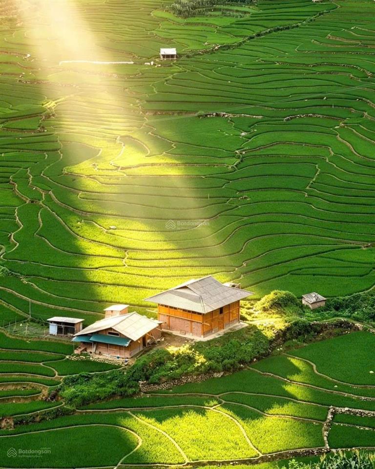 Bán đất tại ô quý hồ  sapa  diện tích 13.500m2, giá cực ngon 40 tỷ