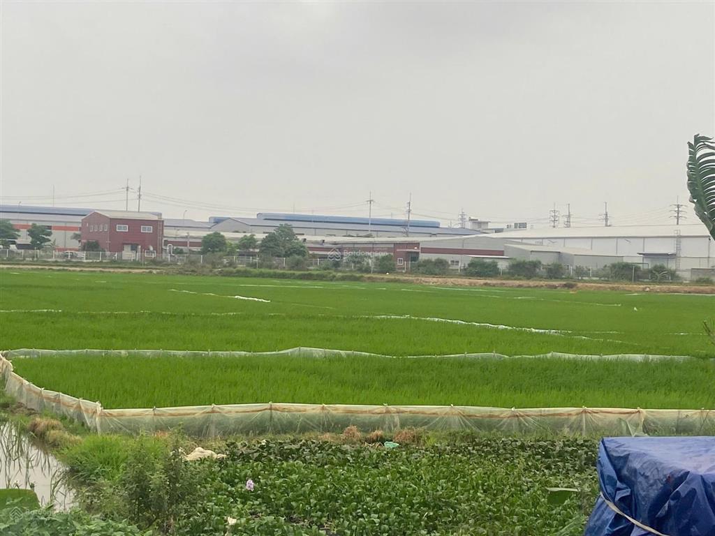 Đất trục chính quế tân quế võ bn. dt 150m2, mt 5m mà giá chỉ 5.8tỷ