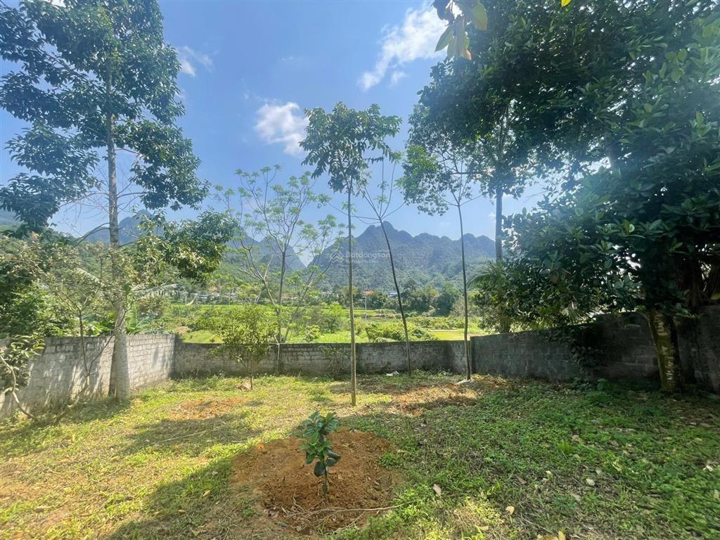 395m cách suối khoáng kim bôi 2,5m zá 750tr