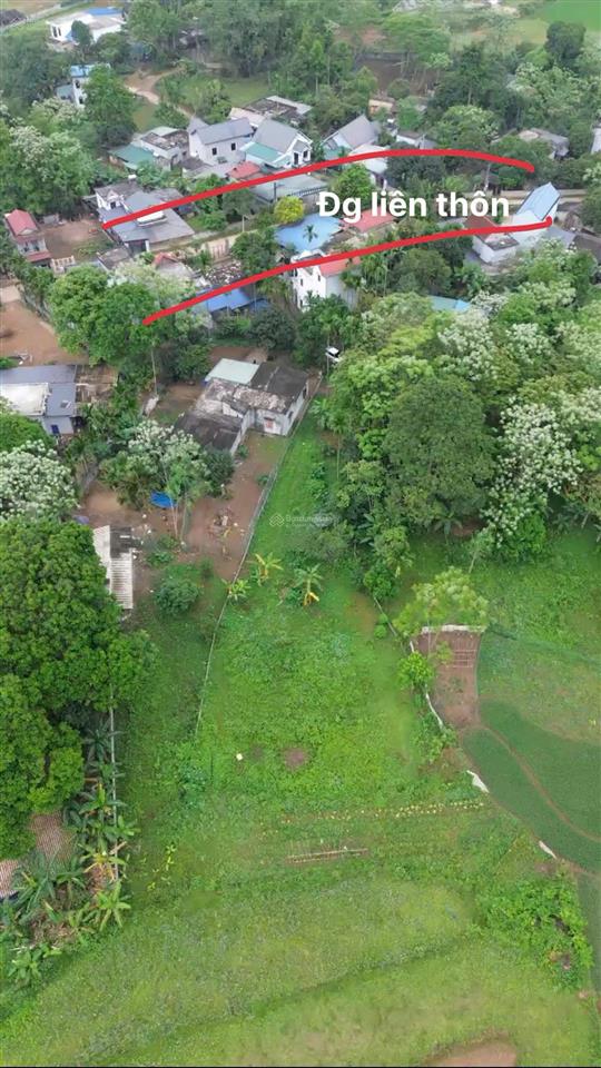 1000m2 đất kim bôi cạnh đường liên kết vùng, chỉ 1.1 tỷ
