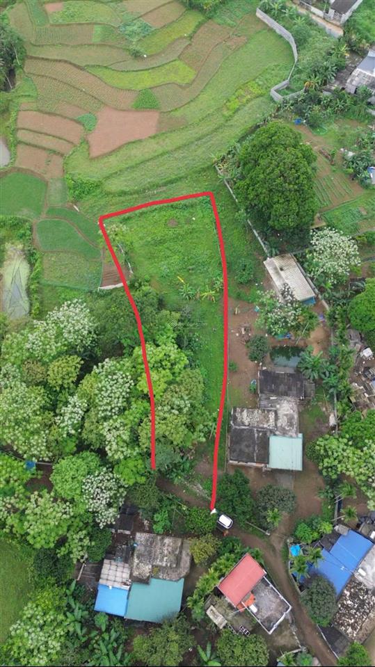 1000m2 đất kim bôi cạnh đường liên kết vùng, chỉ 1.1 tỷ