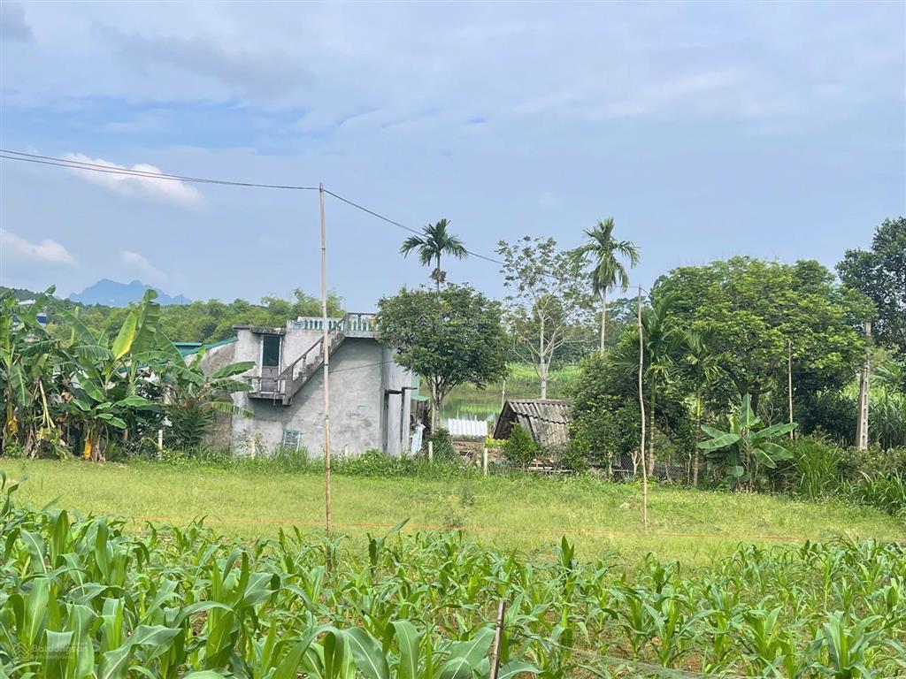 Chính chủ bán lô đất tiềm năng tại cao phong  1,4 tỷ  1000m2   0986 068 ***