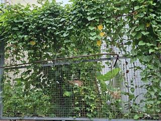 Bán đất q2  hxh đường số  lê văn thịnh 74 m2 giá  6.2 tỷ