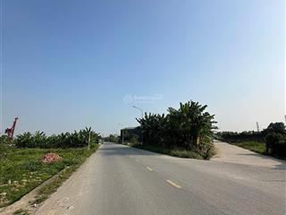 Bán lô đất vườn 50 năm. mặt đường nhựa to