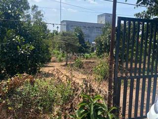 Bán đất vườn  nhà yến  xà bang