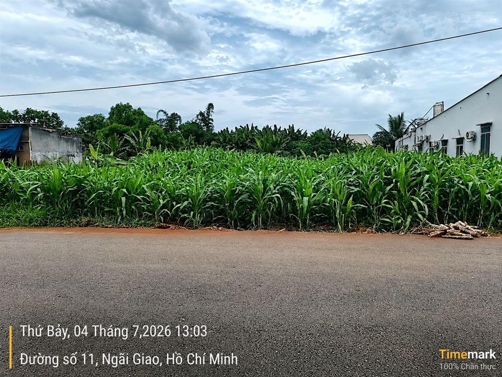 Bán 1.408m2 đất suối nghệ  sát trung tâm thương mại kcn châu đức, giá 7,5 tỷ