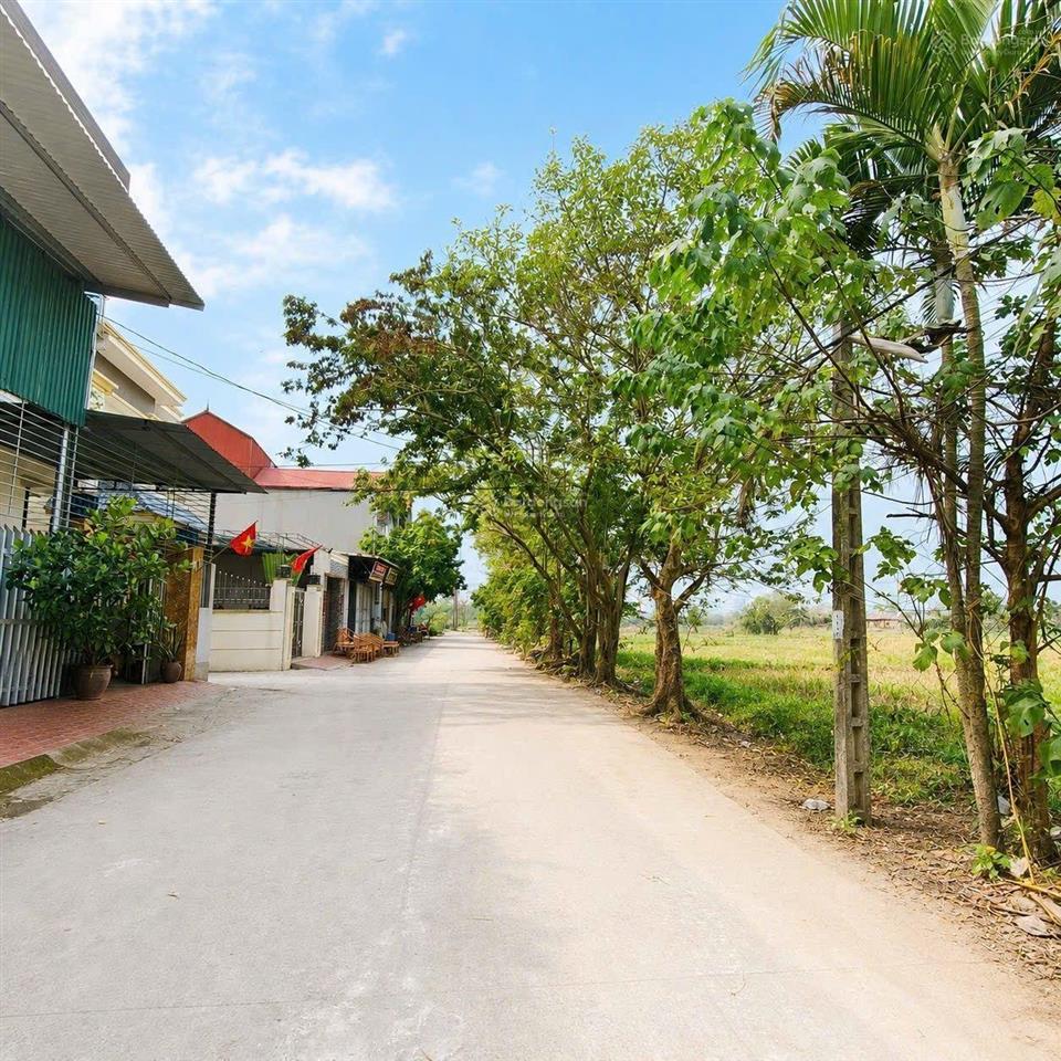 Lô góc hiếm thôn tiền bắc ninh sát đông anh  gần 100m2  ô tô tránh  chỉ 3.1 tỷ