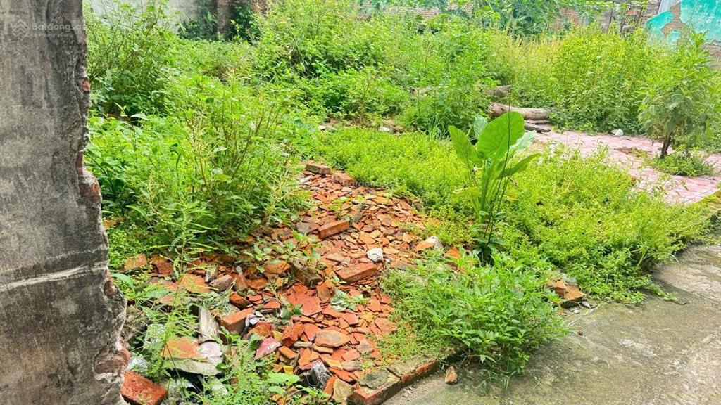 Chính chủ bán đất 45m2  nghĩa lập phù khê, từ sơn  chỉ 950 triệu/lô sẵn sổ