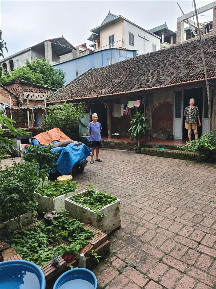 Cc bán lô đất siêu rộng 175m2 nội trì, phường từ sơn (tân hồng cũ), bắc ninh  chỉ hơn 20 triệu/m2