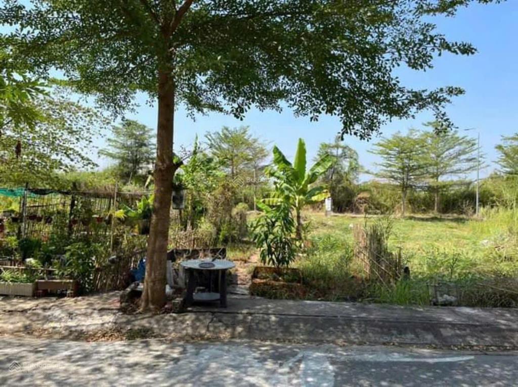 Bán đất nguyễn bình giá 3.650 tỷ ngang 6m