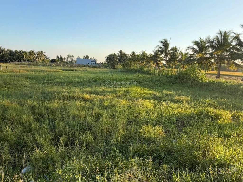 Bán đất nông nghiệp (2.500 m2) vị trí tiềm năng phát triển tại xã đức huệ