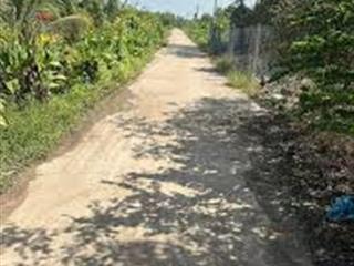 Bán đất nông nghiệp (2.500 m2) vị trí tiềm năng phát triển tại xã đức huệ