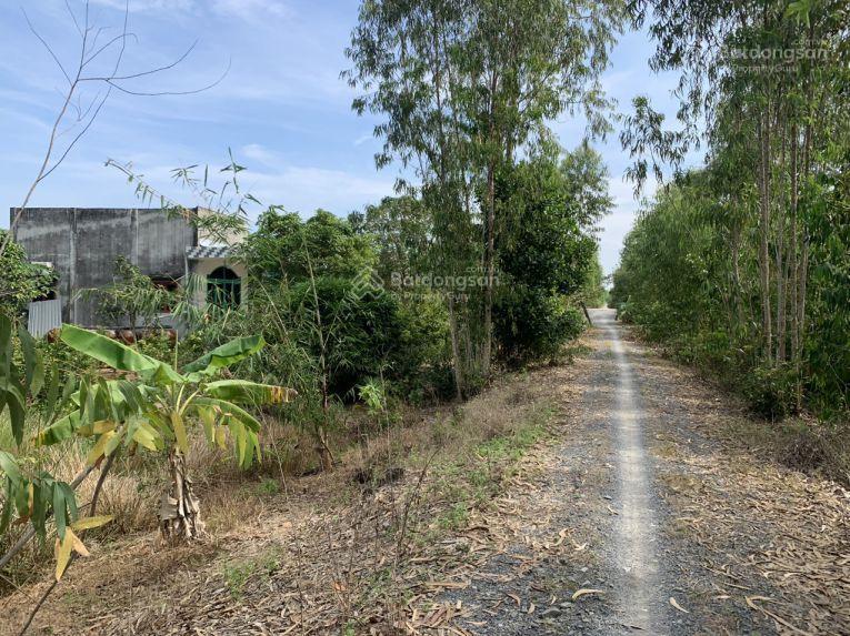 Đất nền giá rẻ tại xã đức huệ, tỉnh tây ninh