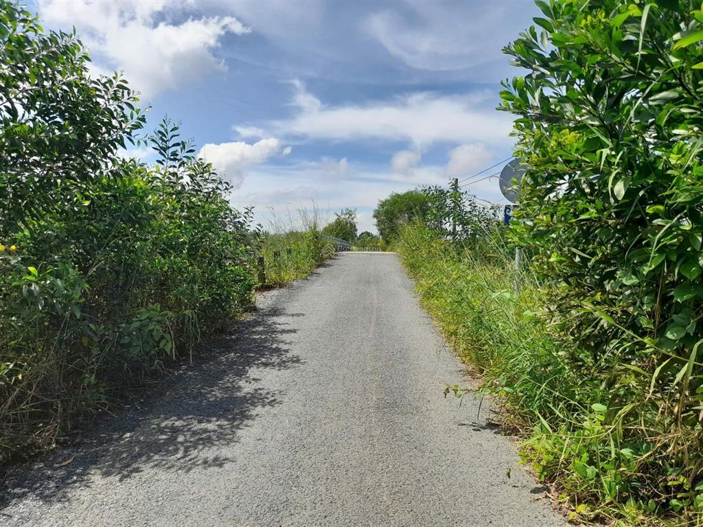 Đất nền giá rẻ tại xã đức huệ, tỉnh tây ninh