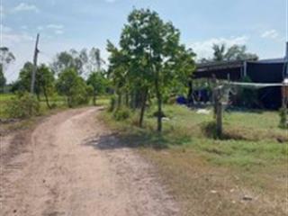 Bán 1.200 m2, có 100 m2 đất ở tại xã đức huệ (xã bình hòa nam cũ)