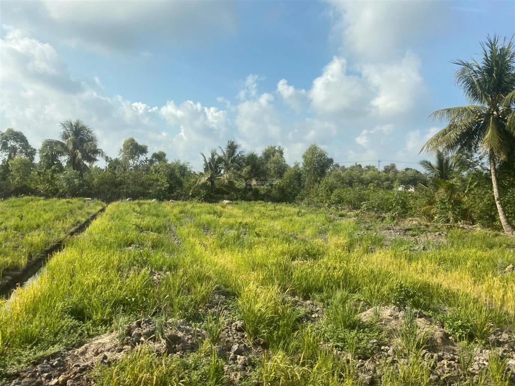 Bán đất tại xã bình hòa nam, đức huệ, long an giá siêu hời 300 triệu, 2000m2