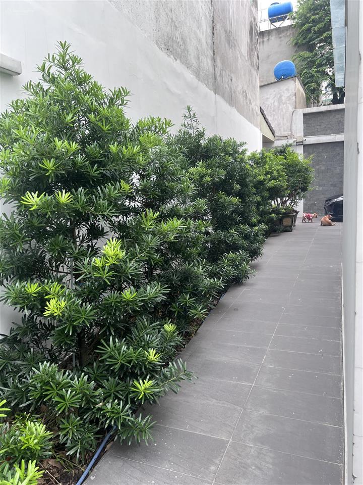 Cần bán biệt thự đơn lập ở thới tam thôn 14, hóc môn
