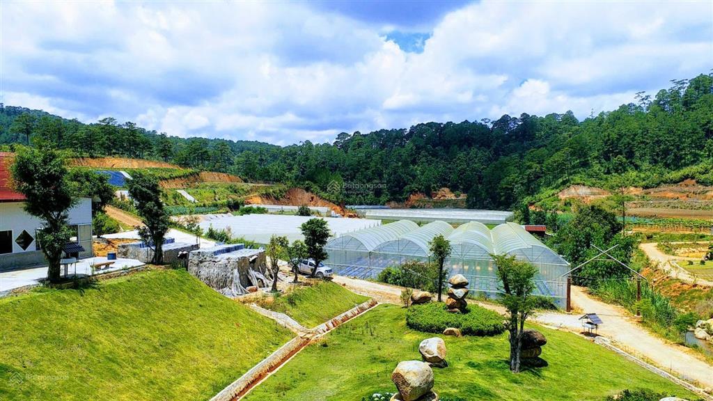 Cơ hội vàng hợp tác sang nhượng dự án
khu du lịch canh nông tại phường langbiang đà lạt, lâm đồng