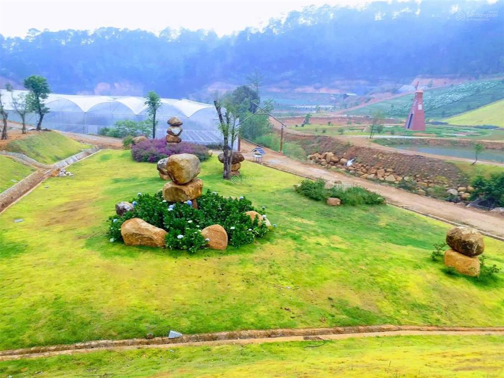 Cơ hội vàng hợp tác sang nhượng dự án
khu du lịch canh nông tại phường langbiang đà lạt, lâm đồng