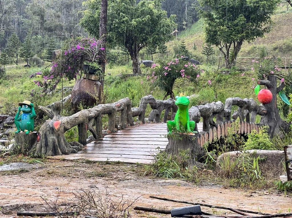 Cơ hội vàng hợp tác sang nhượng dự án
khu du lịch canh nông tại phường langbiang đà lạt, lâm đồng