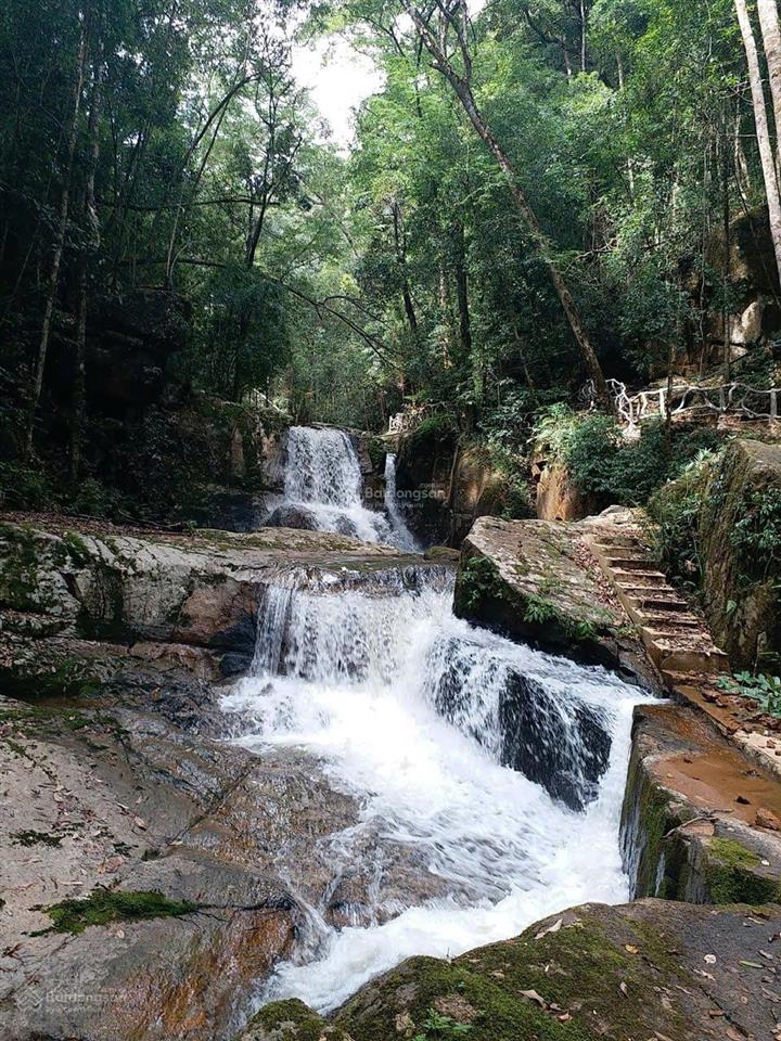 Cơ hội vàng hợp tác sang nhượng dự án
khu du lịch canh nông tại phường langbiang đà lạt, lâm đồng