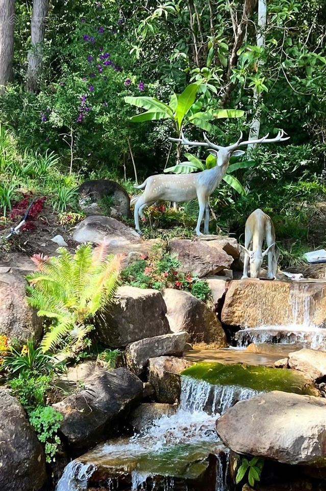 Cơ hội vàng hợp tác sang nhượng dự án
khu du lịch canh nông tại phường langbiang đà lạt, lâm đồng