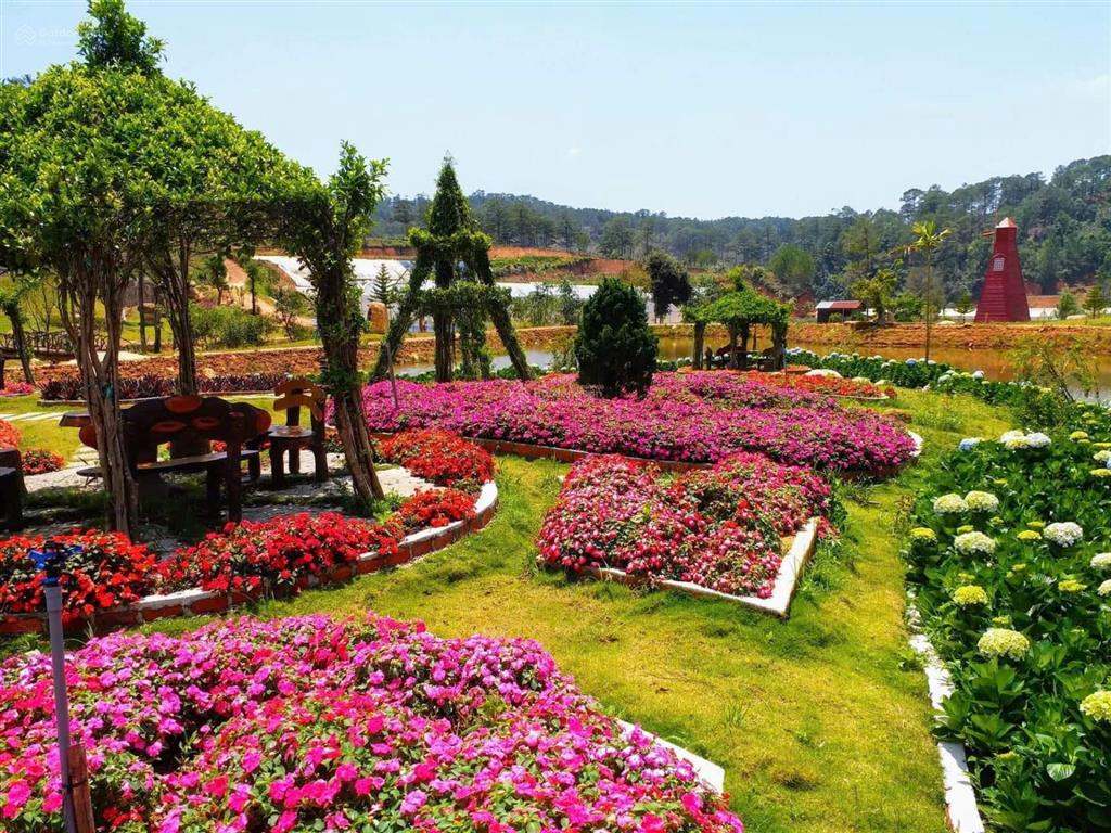 Cơ hội vàng hợp tác sang nhượng dự án
khu du lịch canh nông tại phường langbiang đà lạt, lâm đồng